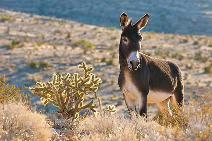 Free Template by Free-Template.co