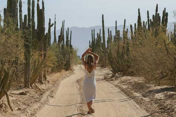 Free Template by Free-Template.co