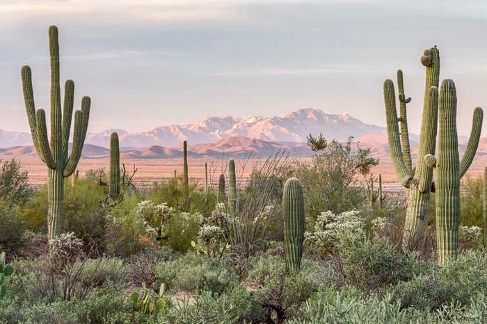 Free Template by Free-Template.co